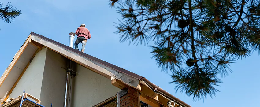 Birds Removal Contractors from Chimney in Pottstown, PA